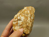 Spotted Fawn Stone or Tigilitis Lapidary Rough Rock #O1
