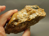 Spotted Fawn Stone or Tigilitis Lapidary Rough Rock #O1
