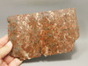 Copper Rose Stone Slab Kingston Conglomerate Rough Rock #O3