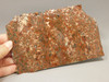 Copper Rose Stone Slab Kingston Conglomerate Rough Rock #O3