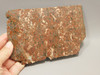 Copper Rose Stone Slab Kingston Conglomerate Rough Rock #O3