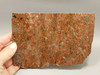 Copper Rose Stone Slab Kingston Conglomerate Rough Rock #O4
