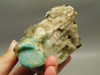 Amazonite Crystal Mineral Specimen Colorado #O2