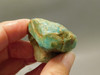 Amazonite Crystal Mineral Specimen Colorado #O3