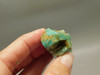 Amazonite Crystal Mineral Specimen Colorado #O4
