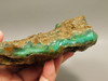 Chrysoprase or Chrysophrase Green Lapidary Rough Rock #O1