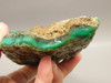 Chrysoprase or Chrysophrase Green Lapidary Rough Rock #O1