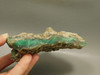 Chrysoprase or Chrysophrase Green Lapidary Rough Rock #O1