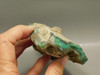 Chrysoprase or Chrysophrase Green Lapidary Rough Rock #O1