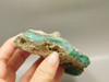 Chrysoprase or Chrysophrase Green Lapidary Rough Rock #O1