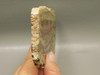 Candy Opal Unpolished Rough Rock Stone Slab Bacon Opal #O1