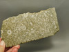 Crinoid Marble Fossil Stone Slab Rough Rock Tennessee #O2