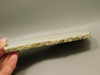 Crinoid Marble Fossil Stone Slab Rough Rock Tennessee #O2