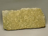 Crinoid Marble Fossil Stone Slab Rough Rock Tennessee #O2
