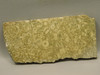 Crinoid Marble Fossil Stone Slab Rough Rock Tennessee #O2