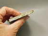 Crinoid Marble Fossil Stone Slab Rough Rock Tennessee #O2