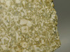 Crinoid Marble Fossil Stone Slab Rough Rock Tennessee #O3