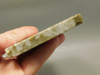 Crinoid Marble Fossil Stone Slab Rough Rock Tennessee #O4
