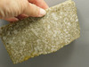Crinoid Marble Fossil Stone Slab Rough Rock Tennessee #O4