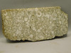 Crinoid Marble Fossil Stone Slab Rough Rock Tennessee #O5