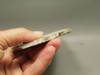 Crinoid Marble Fossil Stone Slab Rough Rock Tennessee #O5