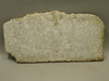 Crinoid Marble Fossil Stone Slab Rough Rock Tennessee #O5