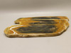 Petrified Wood Antelope Oregon Polished Slab #O152-4