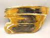 Petrified Wood Antelope Oregon Polished Slab #O152-4