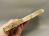 Petrified Wood Stinking Water Golden Oak Polished Slab Oregon #O14A-2