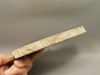 Petrified Wood Stinking Water Golden Oak Polished Slab Oregon #O14A-2