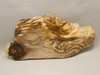 Petrified Wood Polished Slab Yakima Canyon, WA #O134-31