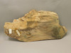 Petrified Wood Polished Slab Yakima Canyon, WA #O134-31