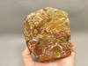Stone Canyon Jasper Stone Unpolished Rock California #O10