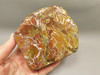 Stone Canyon Jasper Stone Unpolished Rock California #O10