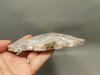 Sowbelly Amethyst or Vein Amethyst Agate Silver Dendrite Polished #05
