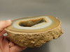 Brazilian Druse Agate Polished Stone Slab Orange Banded Rock #O3
