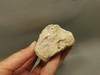 Tiffany Stone Polished Rock Collector Purple Utah #O5