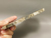 Petrified Wood Woodworthia Polished Slab Arizona #O2123-83