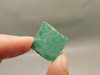 Maw Sit Sit Unpolished Stone Slab Green Jade Small Rock #O14