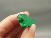 Maw Sit Sit Unpolished Stone Slab Green Jade Small Rock #O11