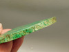 Maw Sit Sit Unpolished Stone Slab Green Jade Rough Rock #O22