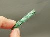 Maw Sit Sit Unpolished Stone Slab High Grade Rough Rock #O36