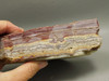 Candy Opal Unpolished Rough Rock Bubble or Bacon Opal #O21