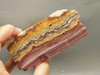 Candy Opal Unpolished Rough Rock Bubble or Bacon Opal #O21Candy Opal Unpolished Rough Rock Bubble or Bacon Opal #O21