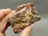 Candy Opal Unpolished Rough Rock Bubble or Bacon Opal #O23