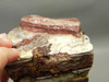 Candy Opal Unpolished Rough Rock Bubble or Bacon Opal #O23