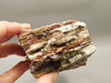 Candy Opal Unpolished Rough Rock Bubble or Bacon Opal #O23
