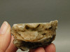Polka Dot Agate Nodule Unpolished Rock Chuckwalla Springs California #O1