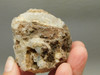 Polka Dot Agate Nodule Unpolished Rock Chuckwalla Springs California #O1