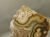 Crazy Lace Agate Stone Endcut Unpolished Rough Rock Mexico #O24